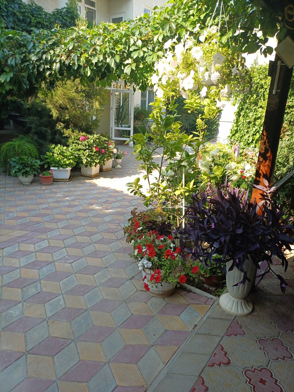 Гостиница Гостевой дом Виктория Судак-91