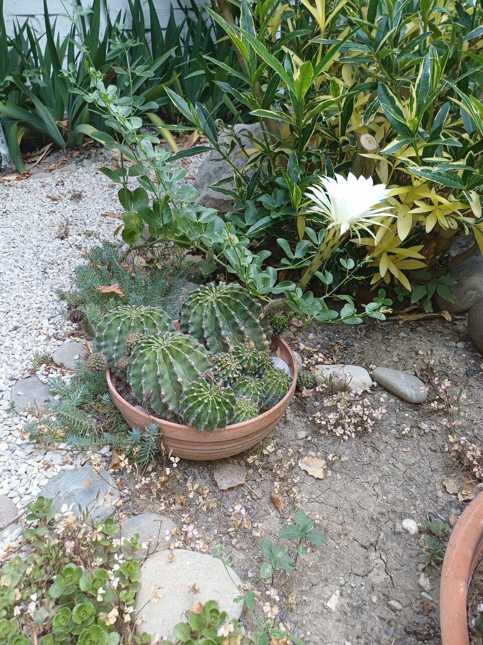 Гостиница Гостевой дом Виктория Судак-93