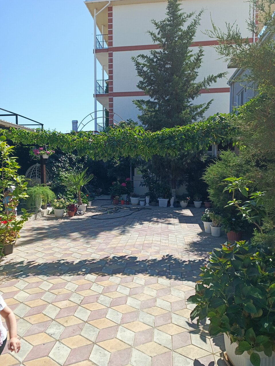 Гостиница Гостевой дом Виктория Судак-88