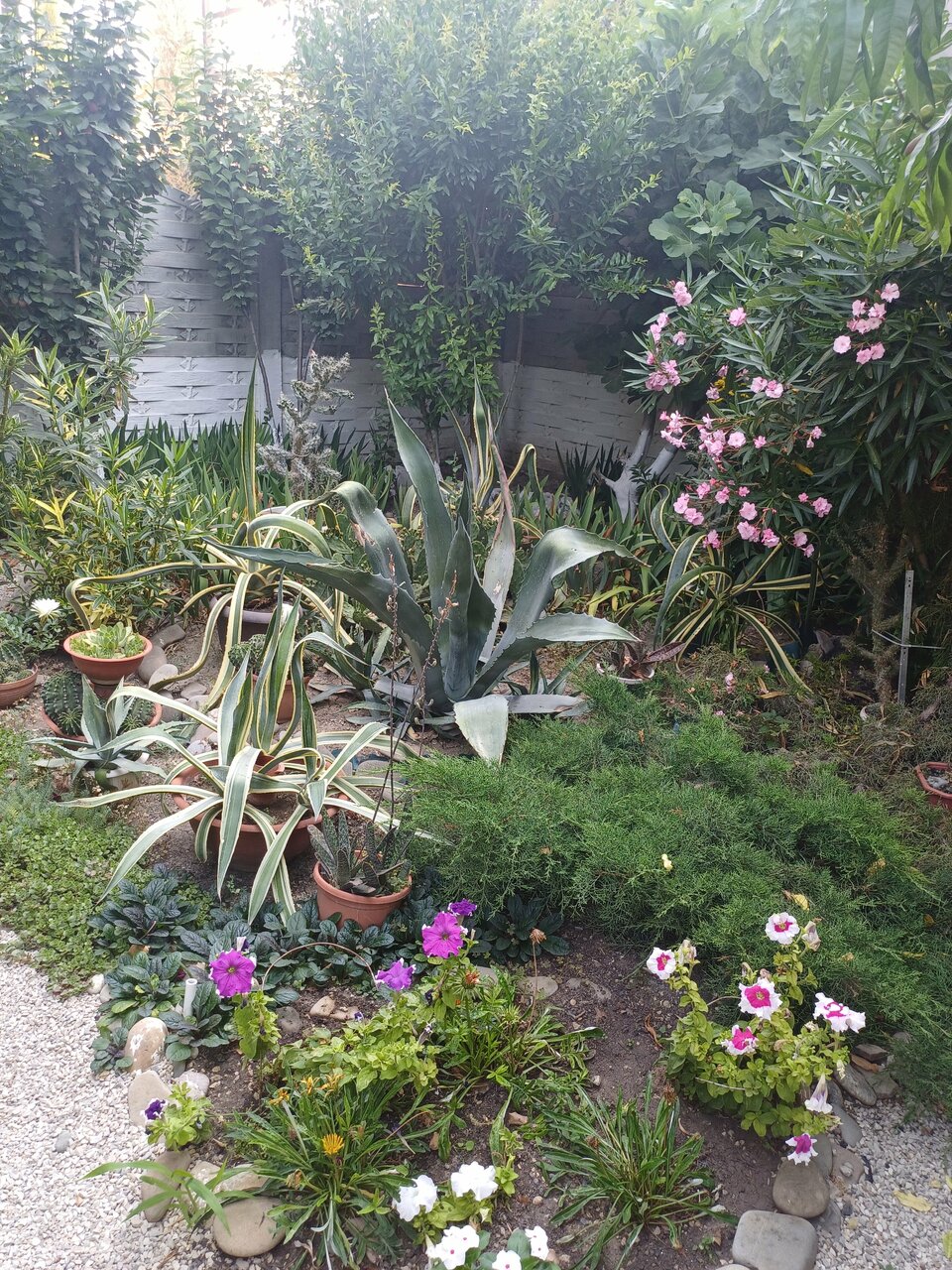 Гостиница Гостевой дом Виктория Судак-85