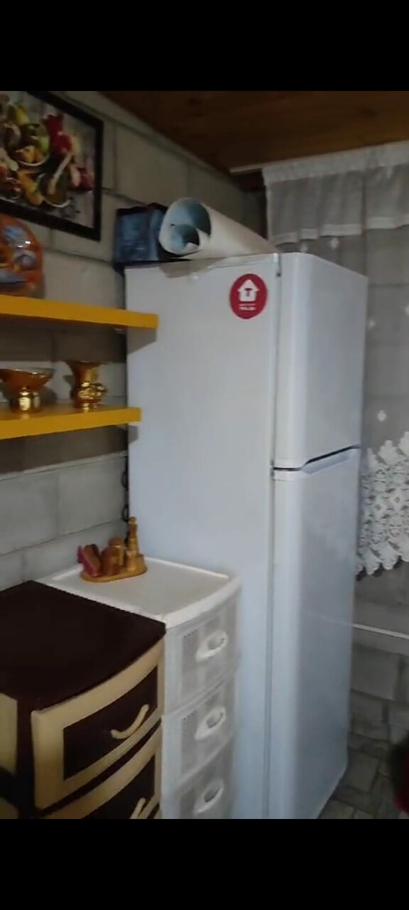 Гостиница Гостевой дом Виктория Судак-21