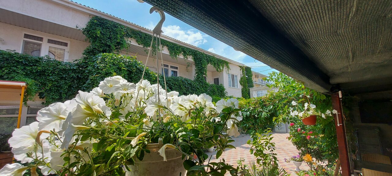 Гостиница Гостевой дом Виктория Судак-4