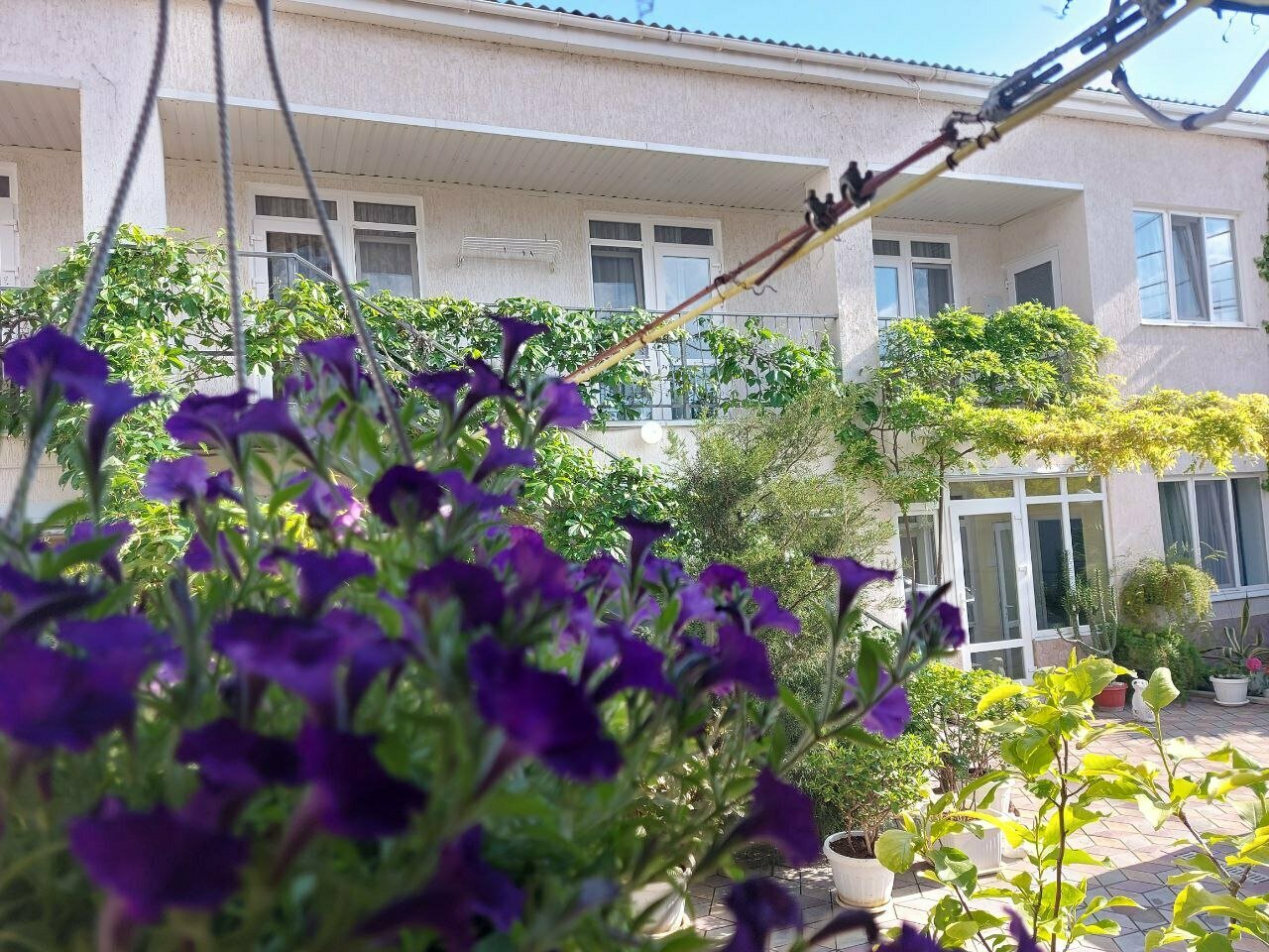 Гостиница Гостевой дом Виктория Судак-17