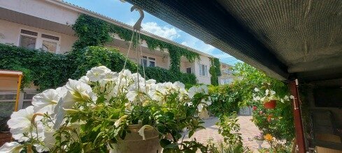 Гостиница Гостевой дом Виктория Судак-65