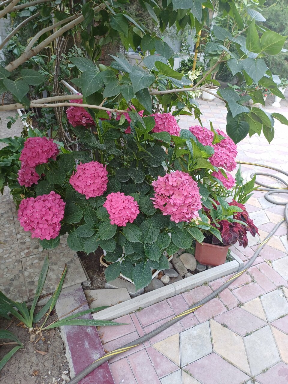 Гостиница Гостевой дом Виктория Судак-90