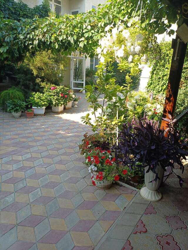 Гостиница Гостевой дом Виктория Судак-90