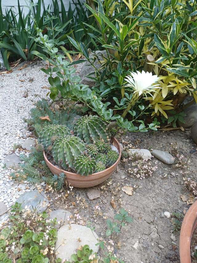 Гостиница Гостевой дом Виктория Судак-92