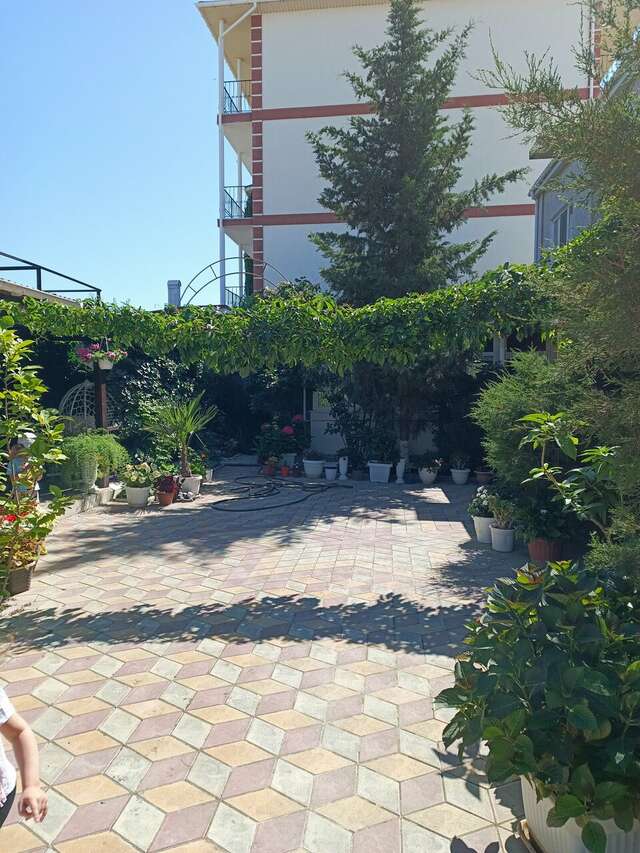 Гостиница Гостевой дом Виктория Судак-87