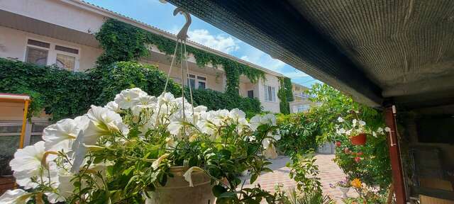 Гостиница Гостевой дом Виктория Судак-3