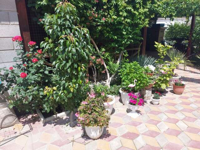 Гостиница Гостевой дом Виктория Судак-11