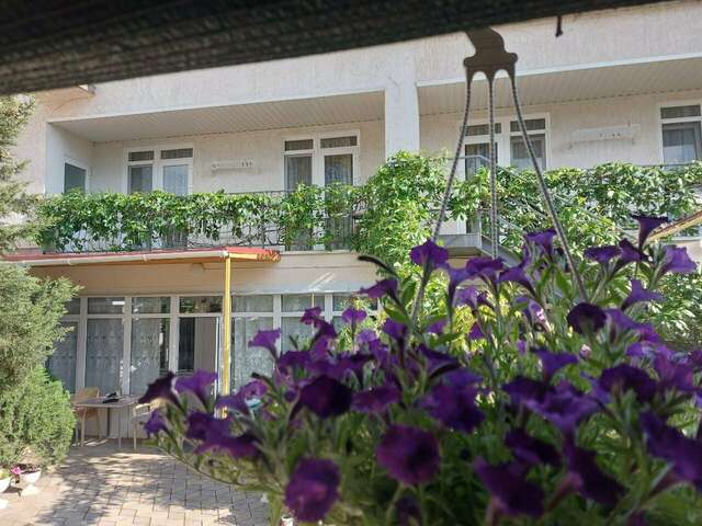 Гостиница Гостевой дом Виктория Судак-21