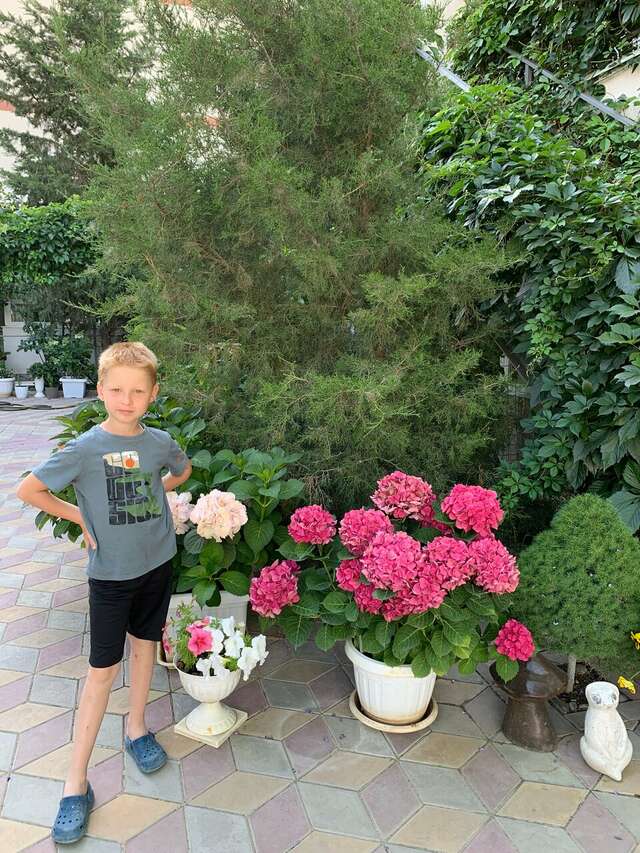 Гостиница Гостевой дом Виктория Судак-83