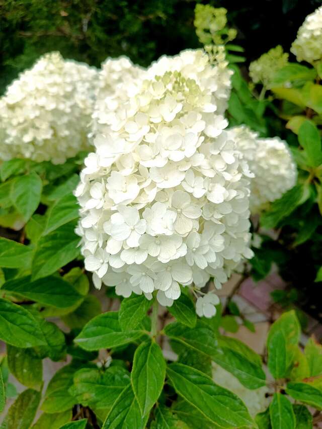 Гостиница Гостевой дом Виктория Судак-19